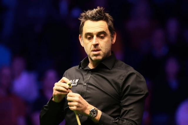 站起来了 站起来了