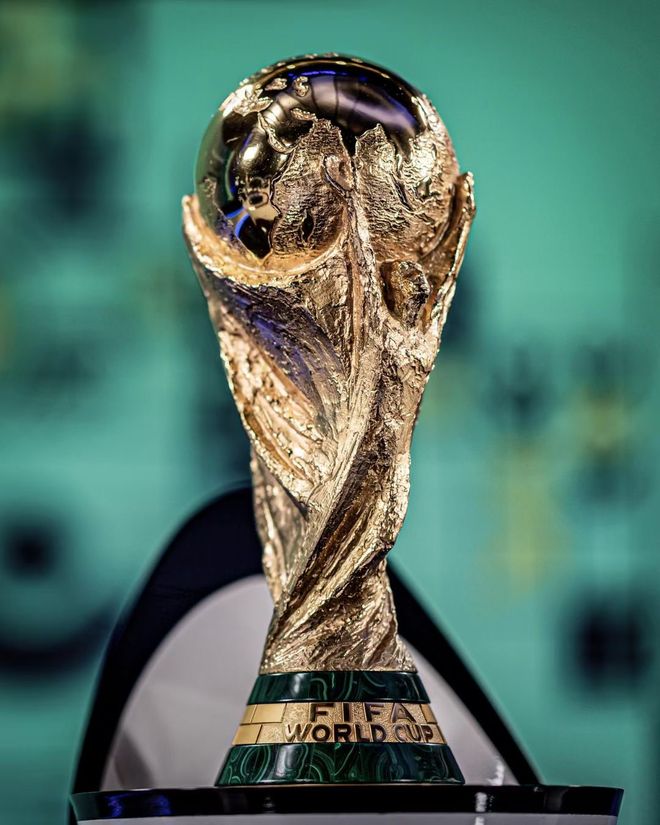 冠的观赏性 冠的观赏性